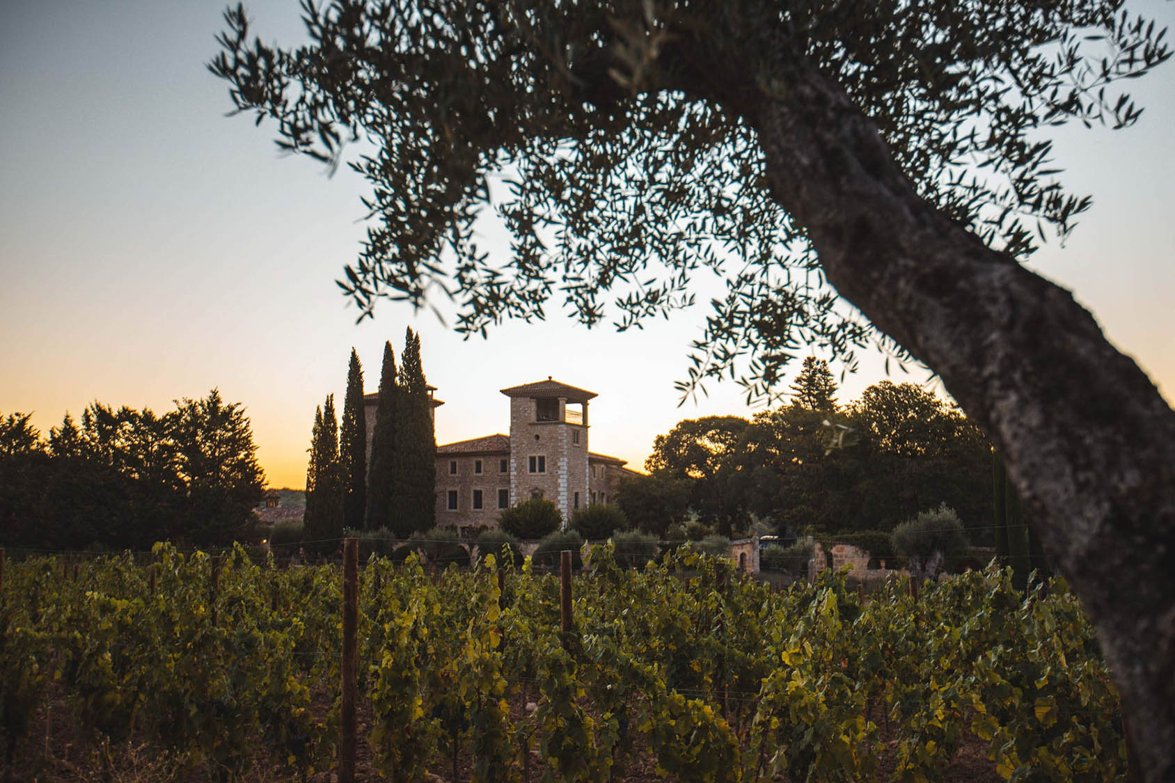 Faut-il Choisir Un Vin Rouge Ou Un Vin Rosé De Provence ? – Château De ...