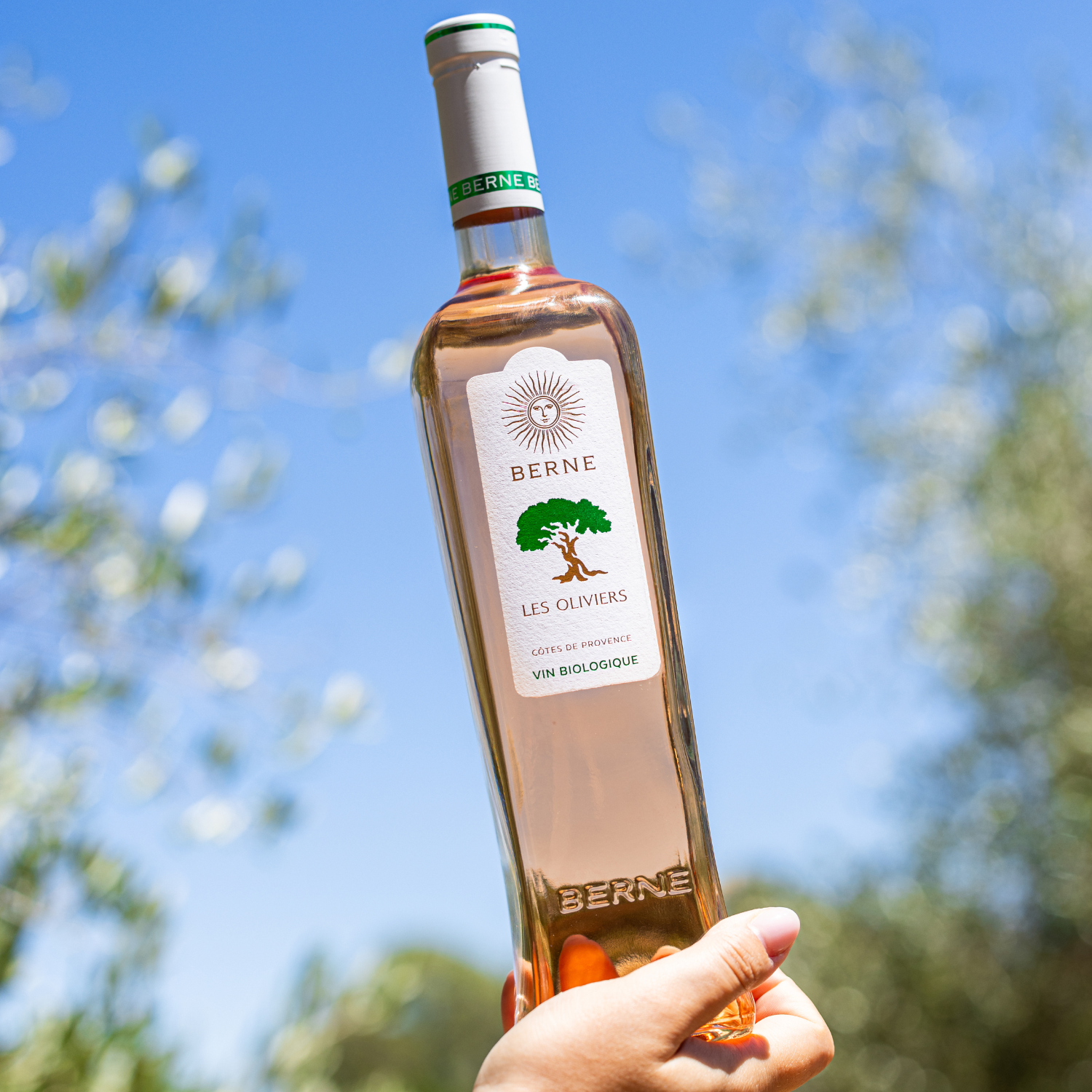 Roséwein AOP Côtes de Provence - Les Oliviers