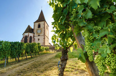 La ruta del vino de Alsacia