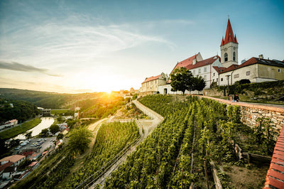 Wine tourism and its essential activities