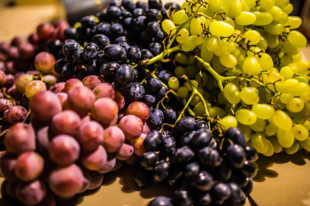 Cépage et dégustation de vin : comment les reconnaître ?