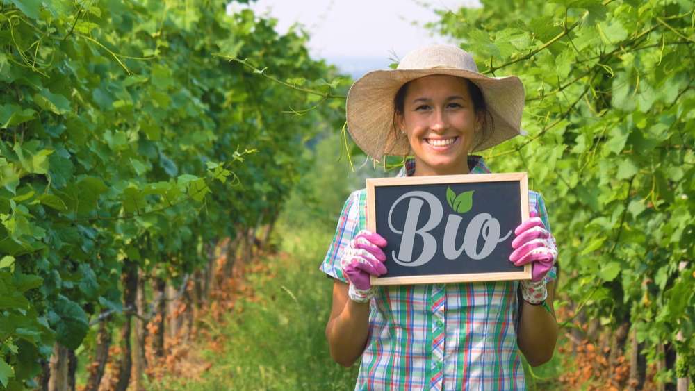 Choisir votre vin bio en 9 critères