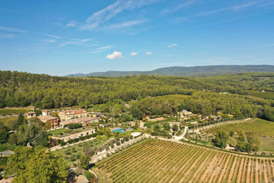 Wijnen uit de Provence: appellations die over de hele wereld bekend zijn!