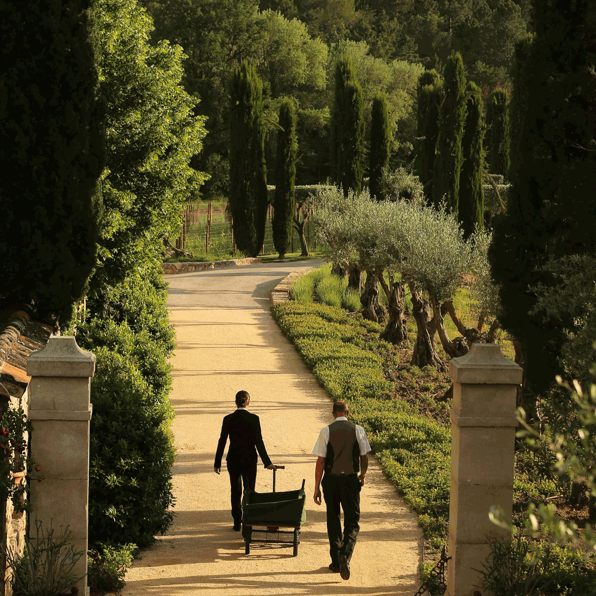Le cadre raffiné du restaurant étoilé Le Jardin de Berne à Lorgues