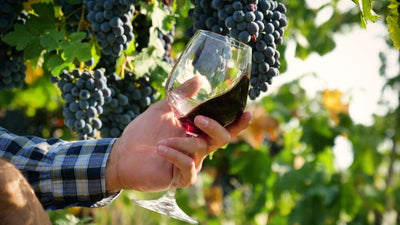 La calidad del vino, ¿cuestión de uvas?