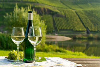 All about wine grape varieties: white riesling