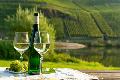 Tout savoir sur les cépages du vin : le riesling blanc