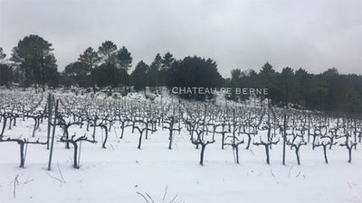 Château de Berne under the snow!