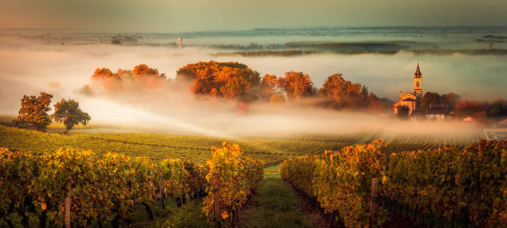 Tout savoir sur la région viticole de Bordeaux