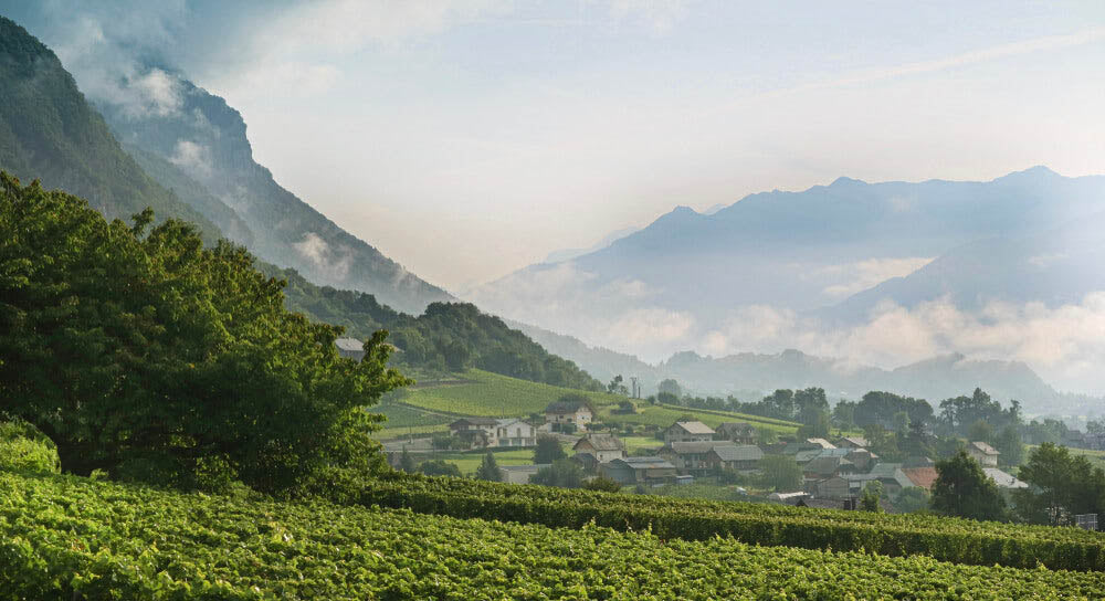 Tout savoir sur la région viticole de la Savoie