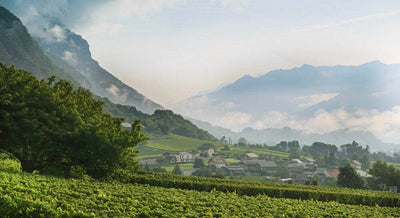 All about the Savoy wine region