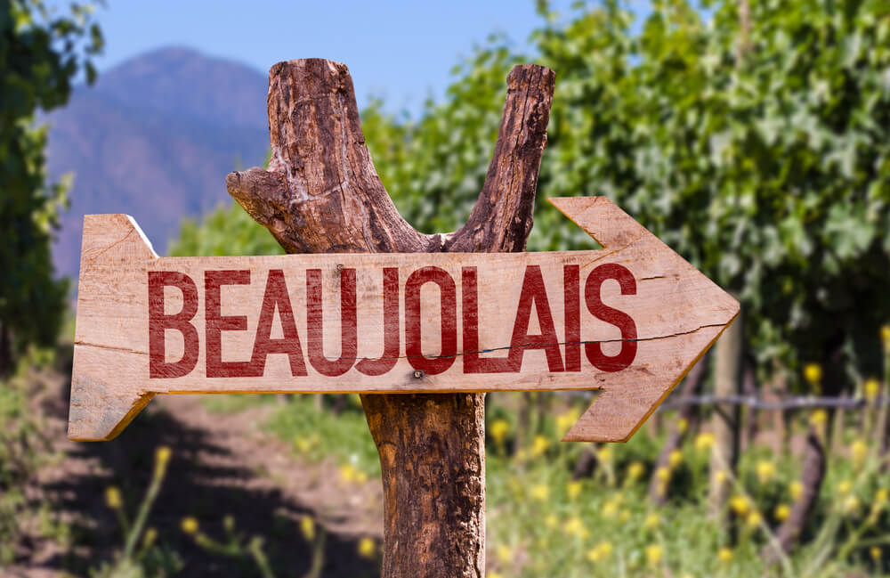Tout savoir sur la région viticole du Beaujolais