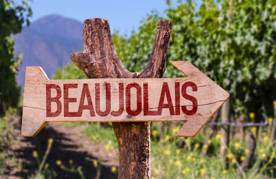 All about the Beaujolais wine region