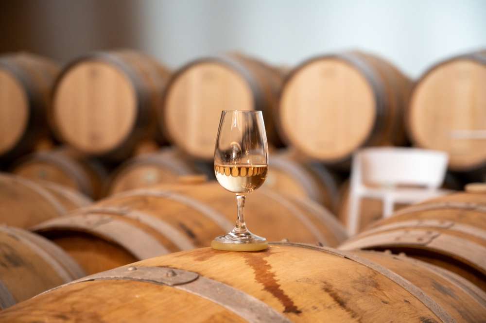 Vin AOP & vin IGP, qu'est-ce que cela signifie ?