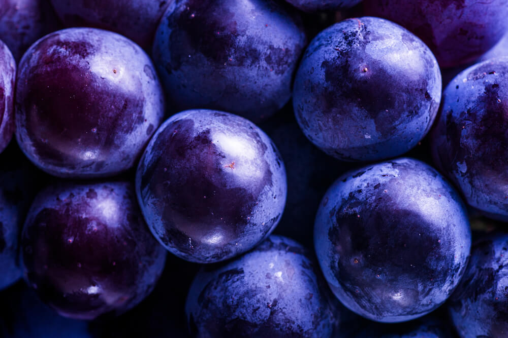 Pourquoi le vin contient-il des sulfites ?