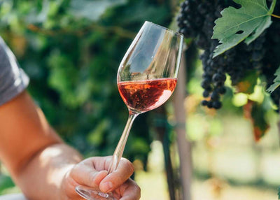 Tout savoir sur les arômes des vins rosés
