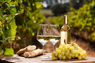 De monding van witte wijn: proeven van witte wijn
