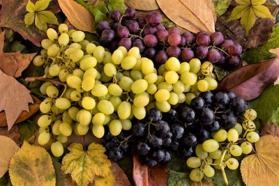 Why are grape varieties important in making wine?