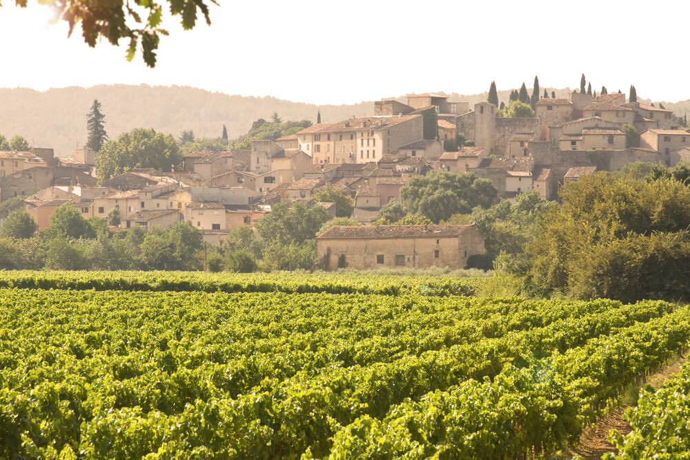 La route des vins en Provence