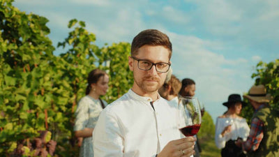 Tout savoir sur le vin : le Guide Ultime