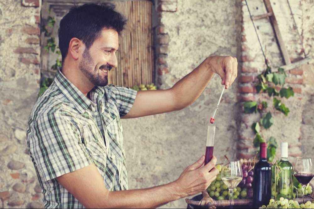 Travailler dans le vin : le guide !