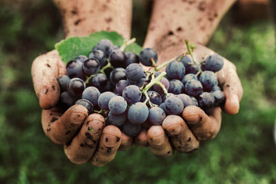 La feria vintage ecológica 2021