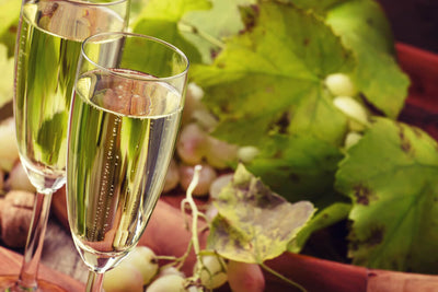 All about the Champagne wine region