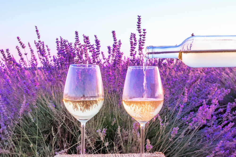 Les Côtes-de-Provence rosés