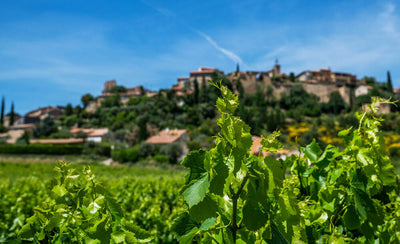 Cuestionario sobre Côtes de Provence