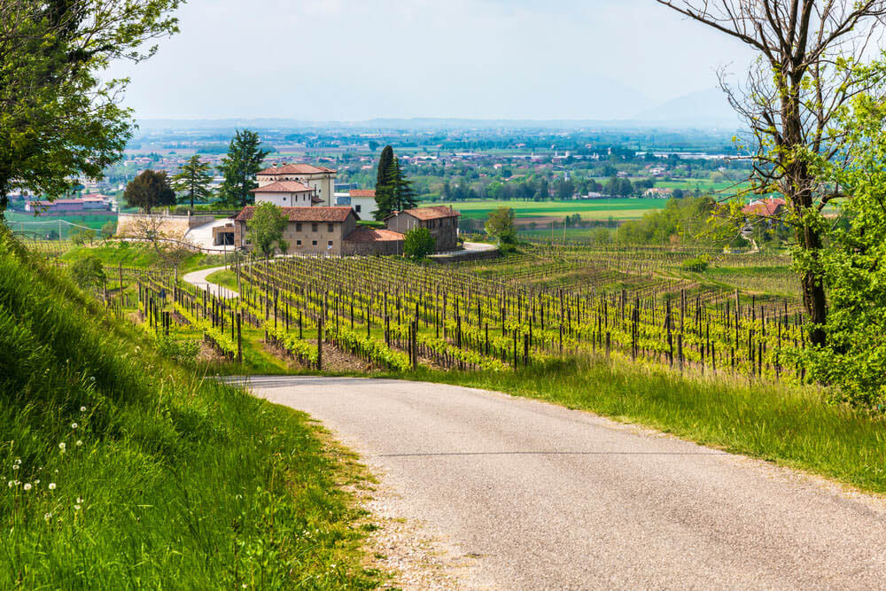 Les routes des vins en France
