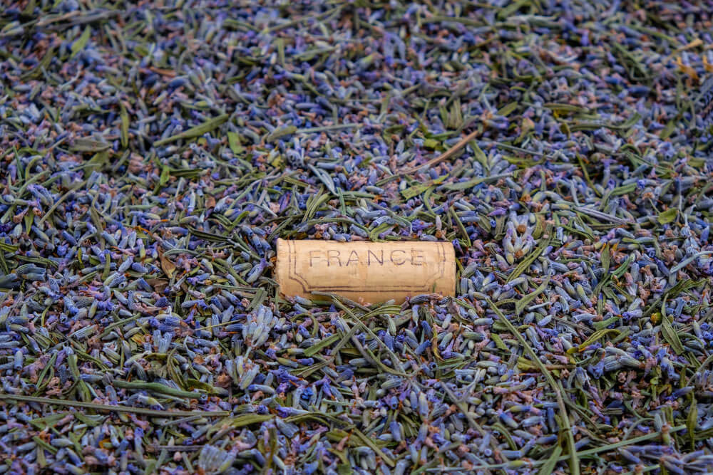 Quels sont les meilleurs vins de Provence ?