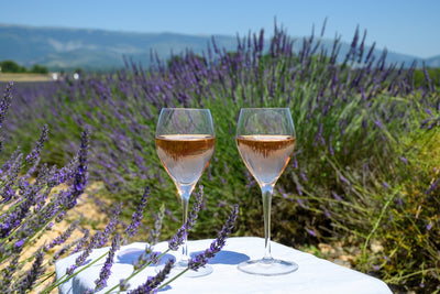 De Provence en zijn wijnen verleiden de grootste Amerikaanse sterren