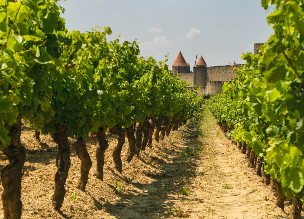 La route des vins du Languedoc-Roussillon
