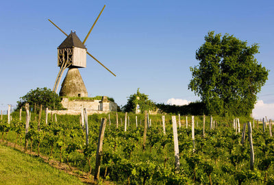La ruta del vino del Valle del Loira