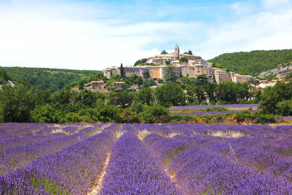 Tout savoir sur la région viticole de la Provence