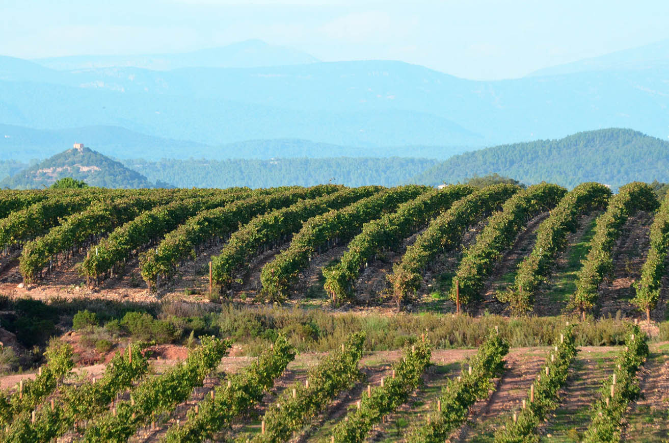 Nos vins de Provence en Promotions