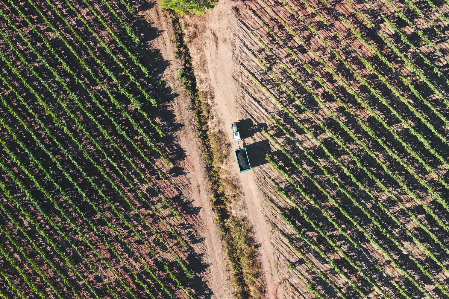 Nos vins de Provence en promotion pour le Pré Black Friday