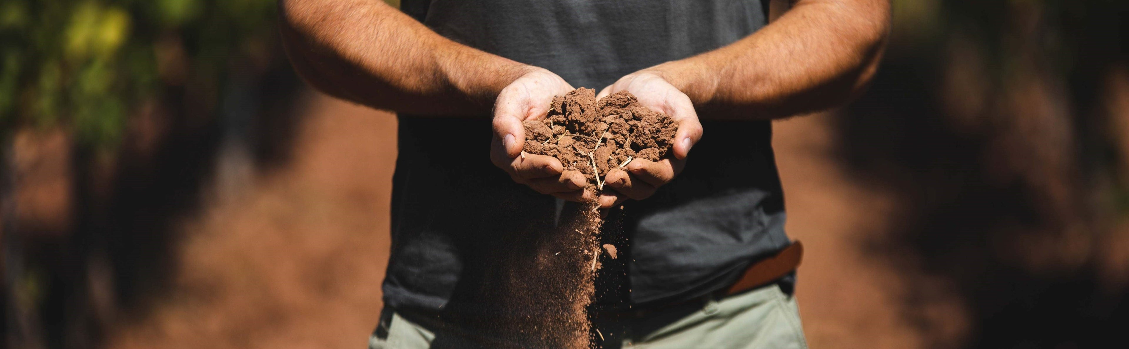 Les côtes de Provence bio de nos domaines