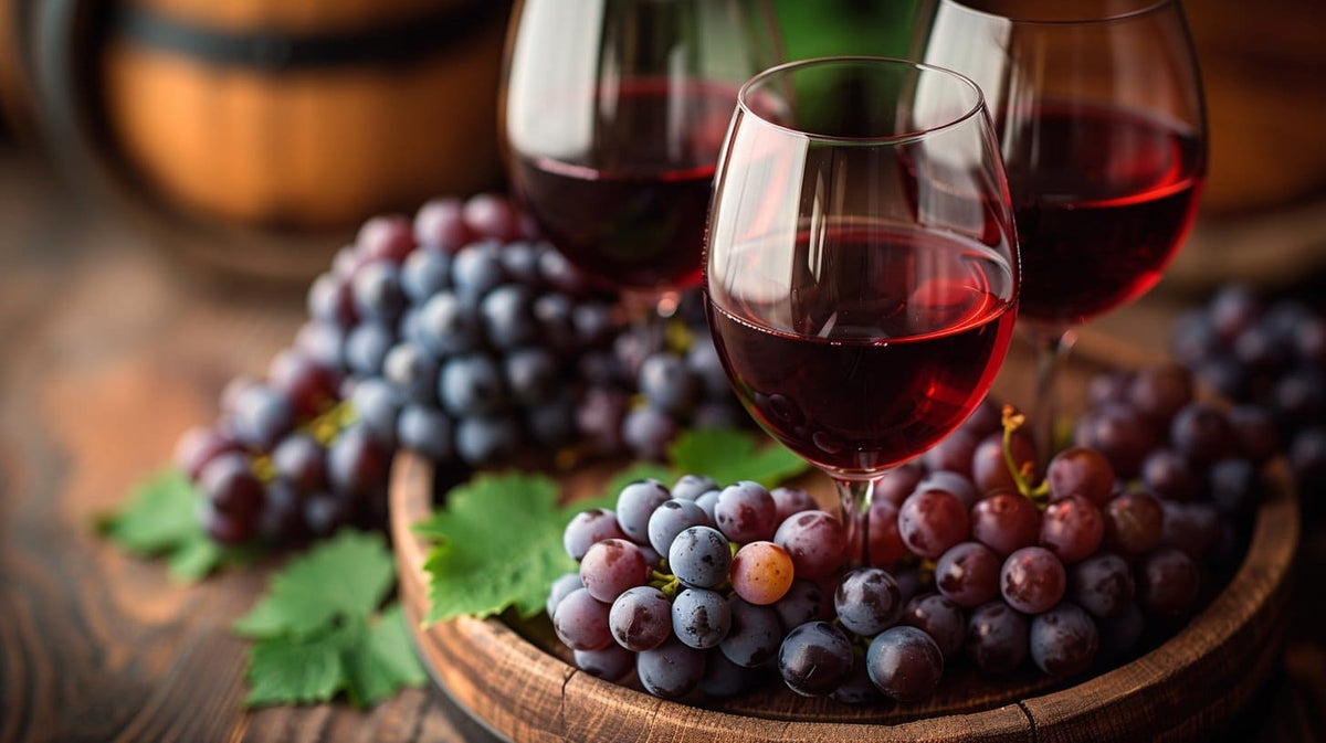 Tout savoir sur l'astringence dans le vin : un guide complet – Château ...