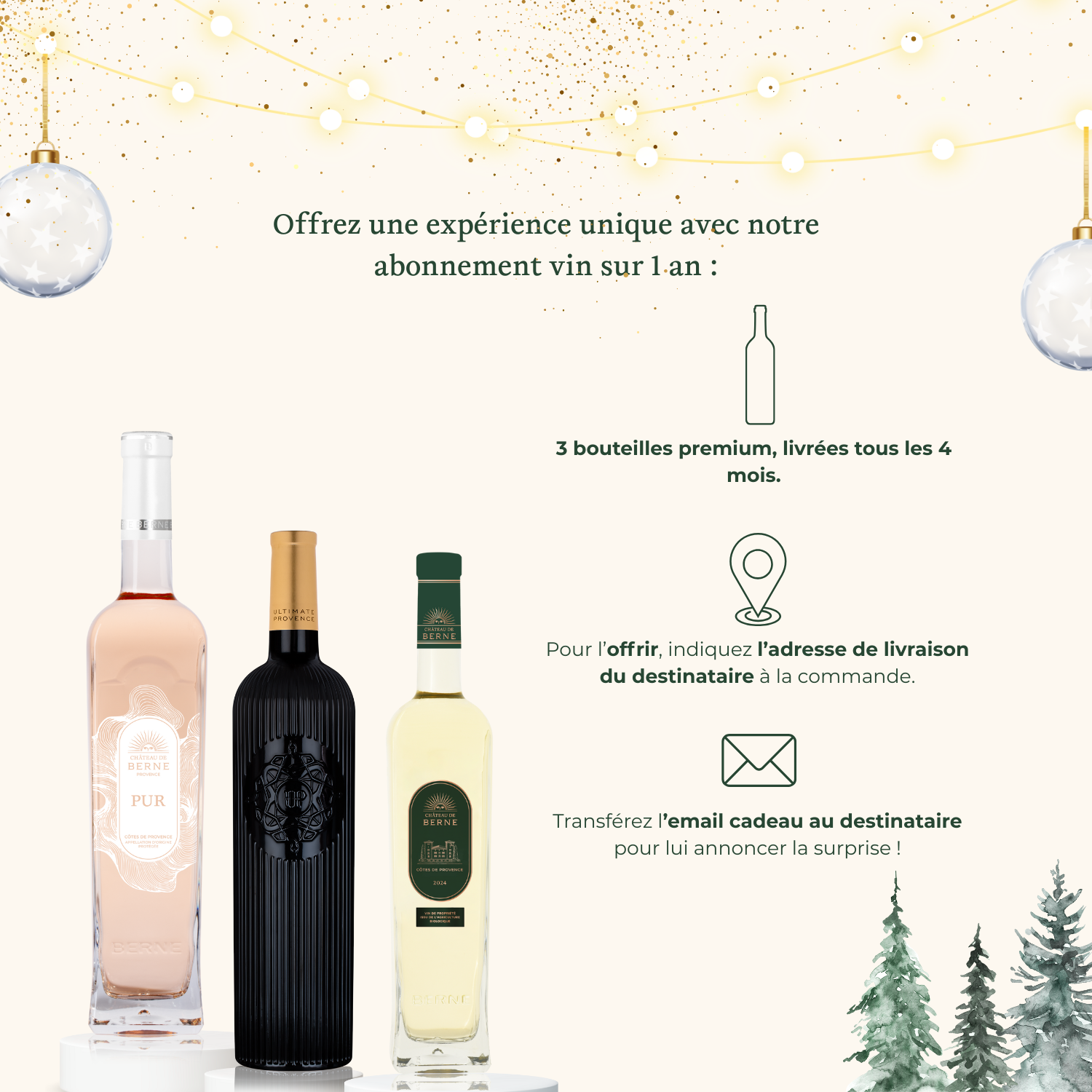 Geschenkbox – 1-Jahres-Abonnement