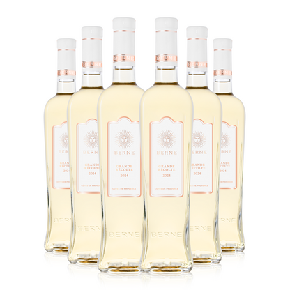 Vin Blanc 2024 AOP Côtes de Provence - Grande Récolte