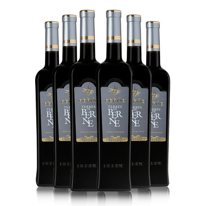 Vin Rouge 2022 AOP Côtes de Provence - Terres de Berne