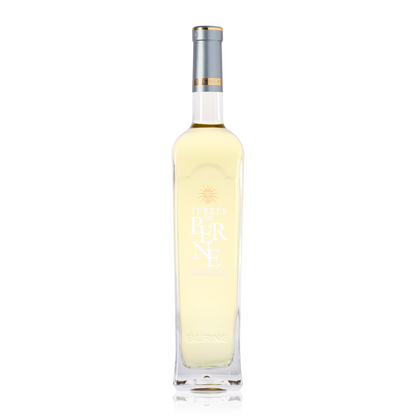 Vin Blanc 2023 AOP Côtes de Provence - Terres de Berne