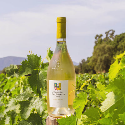 Vino Bianco 2020 AOP Côtes de Provence - Château des Bertrands