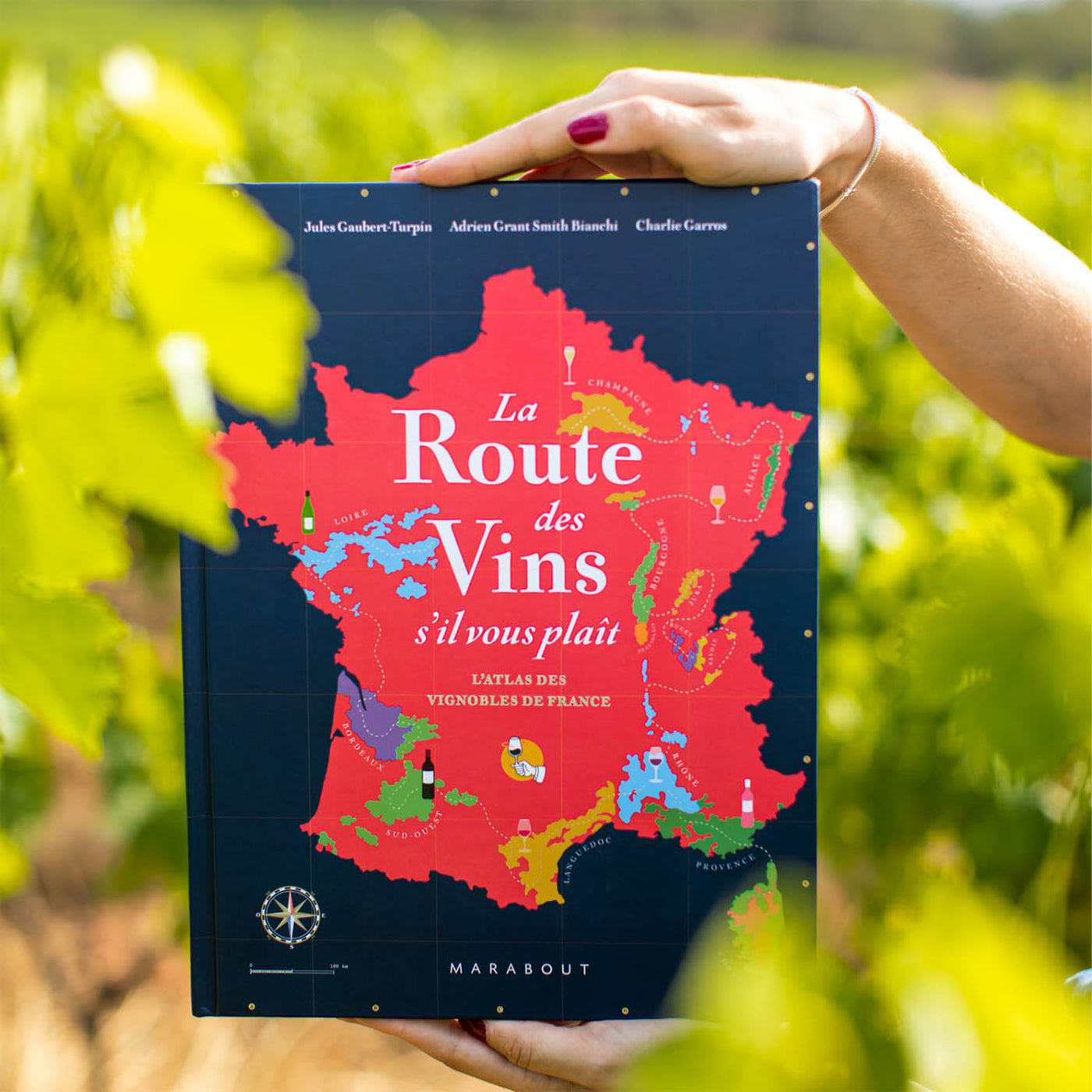 BOOK - La Route des Vins de France (French Wine Routes)